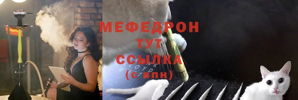 гашик Пересвет