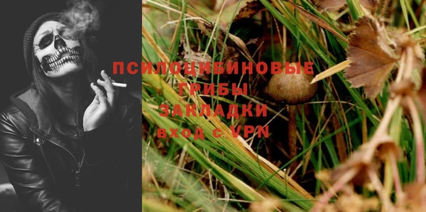 альфа пвп Осинники