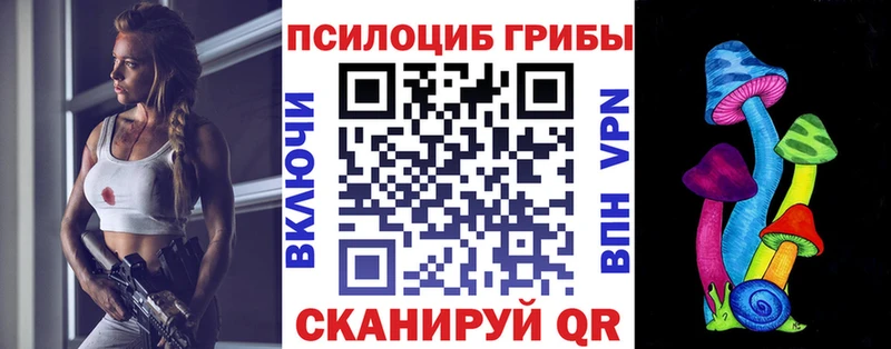Галлюциногенные грибы MAGIC MUSHROOMS  продажа наркотиков  Усть-Илимск 