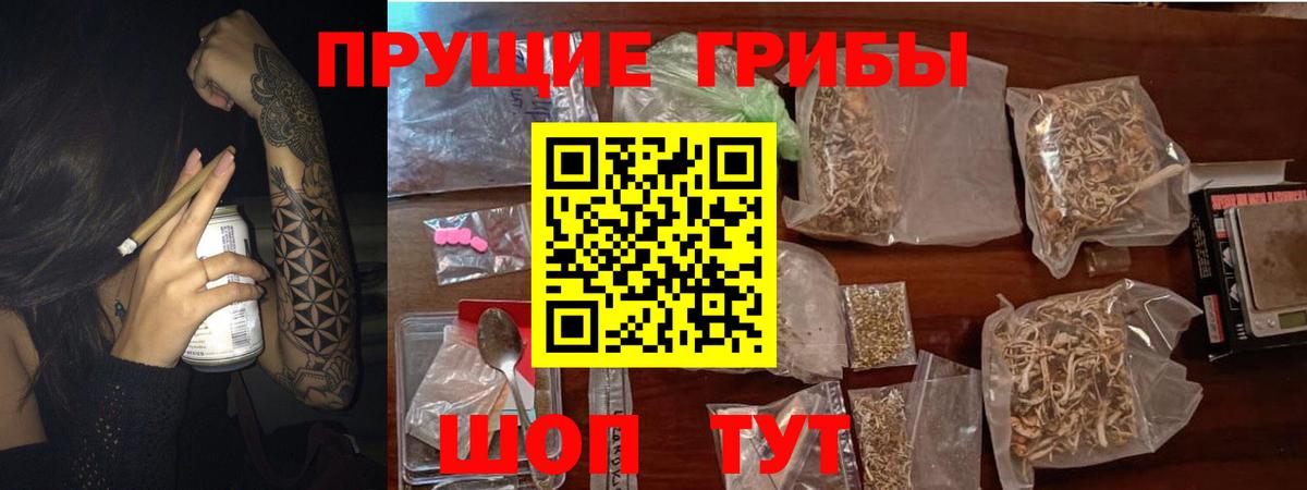 Галлюциногенные грибы Psilocybe  Вход с VPN  наркота  Псилоцибиновые грибы мицелий  Усть-Илимск 